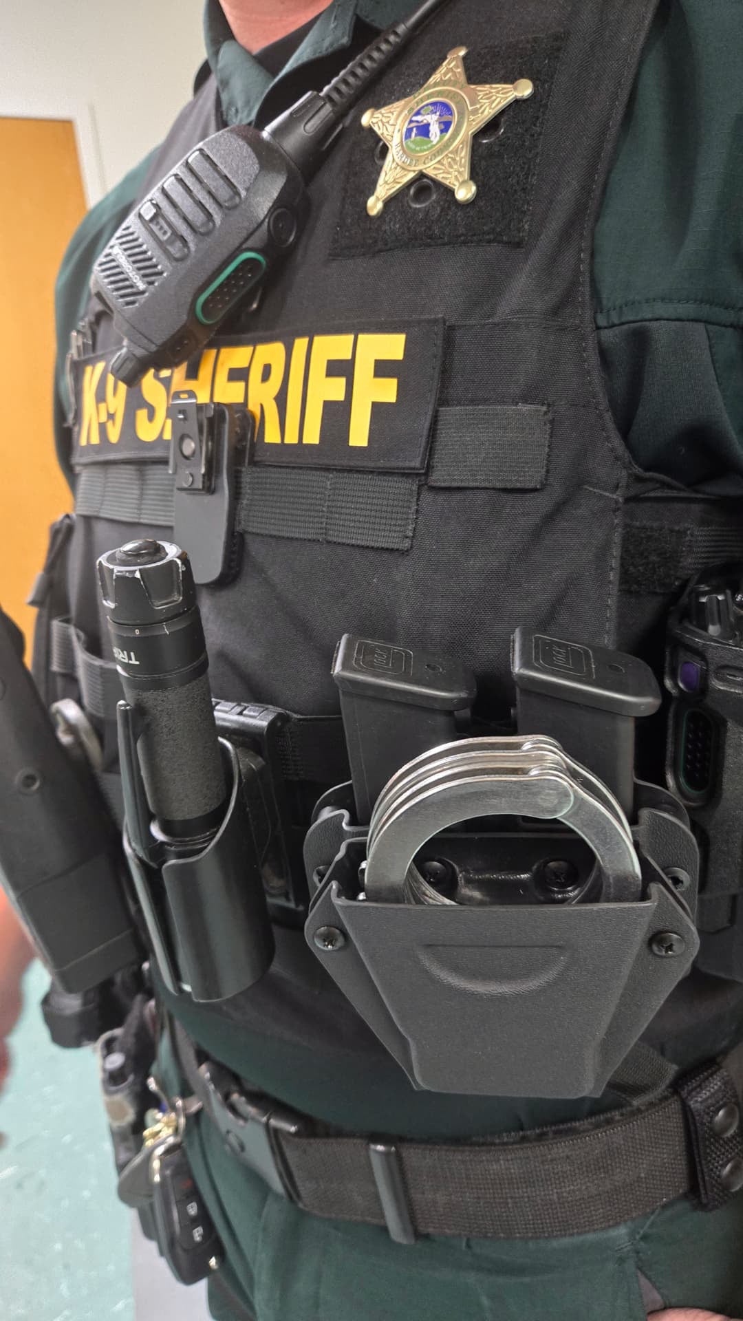 Bearcat // Double Pistol + Handcuff Combo